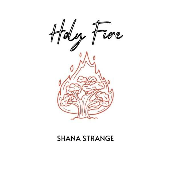 Cover art for Holy Fire